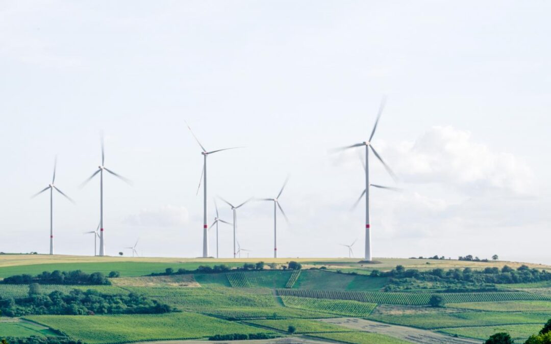 Making A Green Impact With These Jobs 